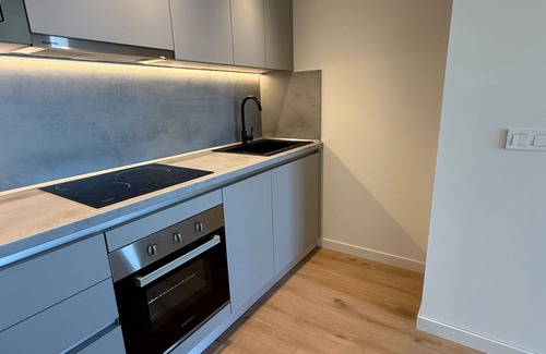 La Latina Apartment | Modern New Perfect New enjoy Madrid Free airport transfer.