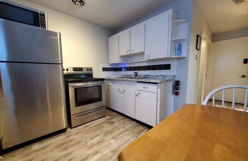 Algoma District Apartment | Modern Private 1BR Apt. w/Free Prkg + Fast Wi-Fi