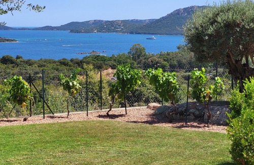 Porto-Vecchio Villa | Modern sea view villa, pool, full service, arrival Sunday departure