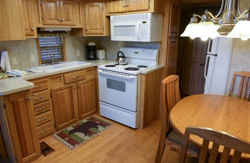 Almont Cabin | Modern "Tiny Home" Style Cabin on Taylor River with Private Fishing Access