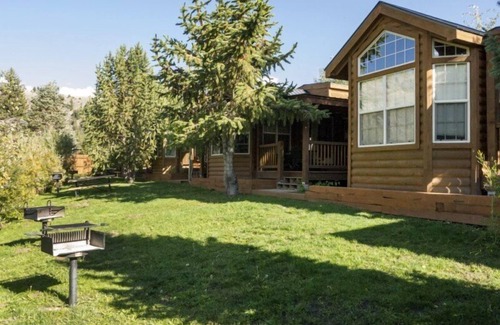 Almont Cabin | Modern "Tiny Home" Style Cabin on Taylor River with Private Fishing Access