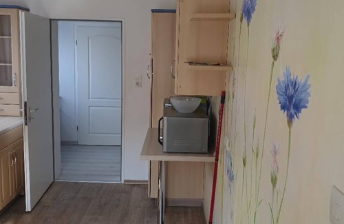 Grafenau Apartment | Modern vacation apartment (130sqm) with large terrace, Aktivcard included