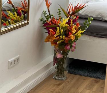 Bad Oeynhausen Apartment | Moderne Wohnung in der Innenstadt von Bad Oeynhausen