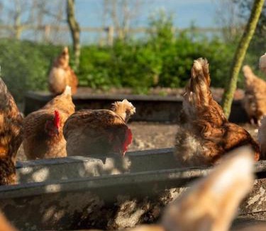 Yarmouth Apartment | Modulog 3 At Tapnell Farm