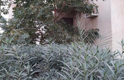 Madinaty Apartment | MoJo's Madinaty Hotel