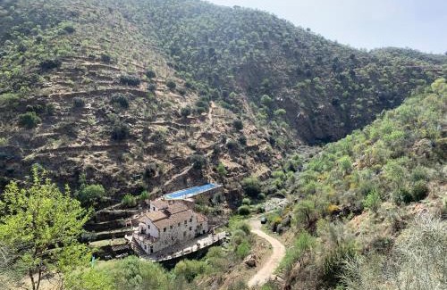 Laroya House | Molino Laroya