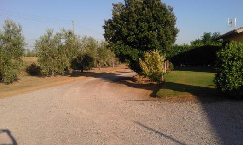 Ponti di Badia House | Monolocale con giardino