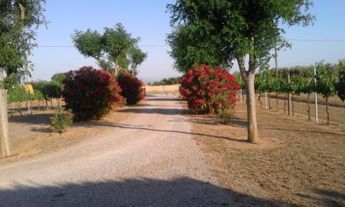 Ponti di Badia House | Monolocale con giardino