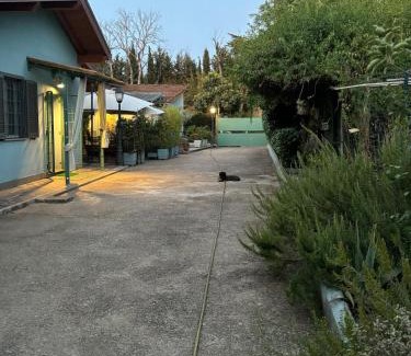 Quartiere XXII Collatino House | Monolocale Centro Stazione Tiburtina