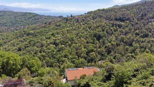 Ruta Apartment | Monolocale Fattorialmare Gialla