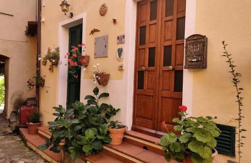 Poggio Apartment | Monolocale Poggio