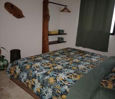 Le Centre House | Monstera Lodge