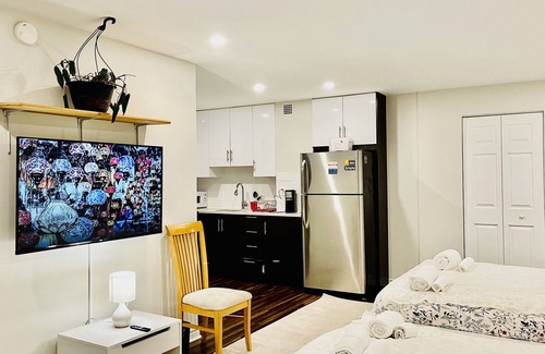 Plateau Mont Royal Apartment | Mont Royal and Parc la Fontaine view