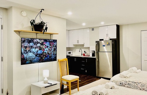 Plateau Mont Royal Apartment | Mont Royal and Parc la Fontaine view