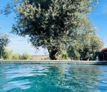 Portel House | Montado Village