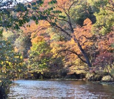 Hartshorn Cabin | Montauk Pines