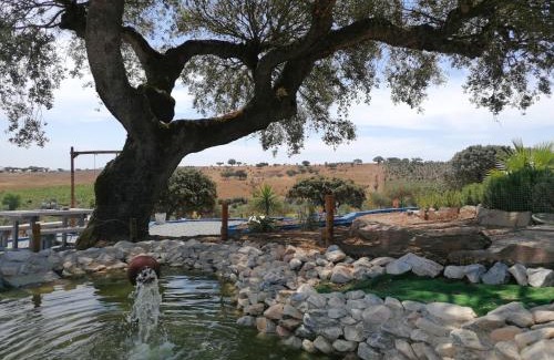 Reguengos de Monsaraz House | Monte Beatriz