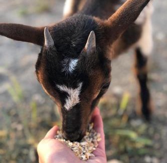 Vila Vicosa House | Monte da Rochela