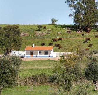 Borba House | Monte de Matacães