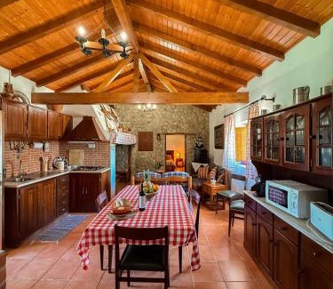 Santiago do Cacem House | Monte dos Touris