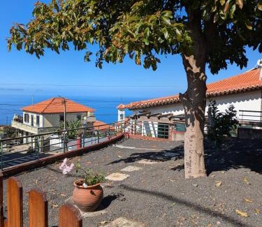 Ribeira Brava Apartment | Monte Gordo Accommodation