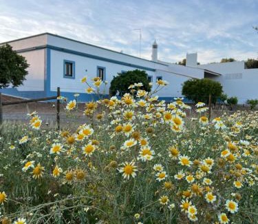 Reguengos de Monsaraz House | Monte Novo - Country House