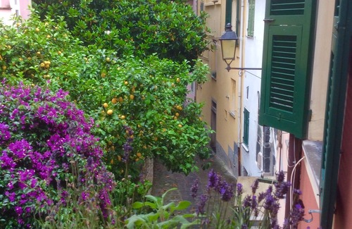 Borgo Antico Apartment | Monterosso al Mare Studio - Old Town - Cod. CITRA 011019-LT-0270