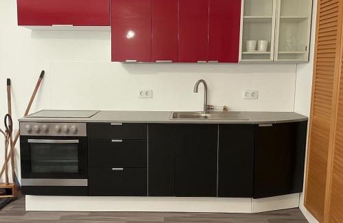 Neustadt an der Weinstrasse Apartment | Monteur- und Ferienwohnung Neustadt an der Weinstraße