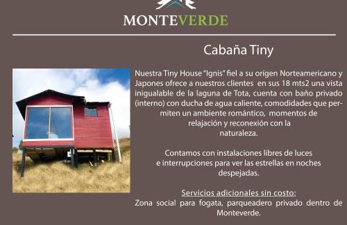 Tota Other | Monteverde