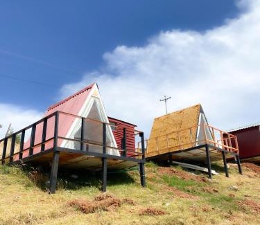 Tota Other | Monteverde