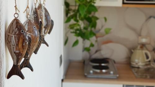 Loiri Porto San Paolo House | Montilisciu Cottage