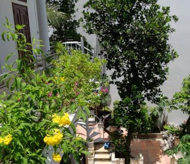 Tran Phu Beach Apartment | Moon house tropical garden - Coconut
