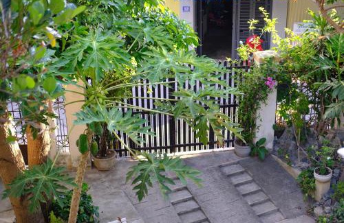 Tran Phu Beach Apartment | Moon house tropical garden - Coconut