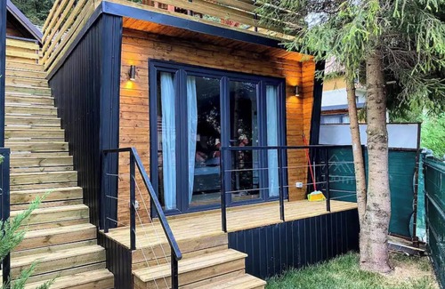 Busteni House | Moon Juliet 5