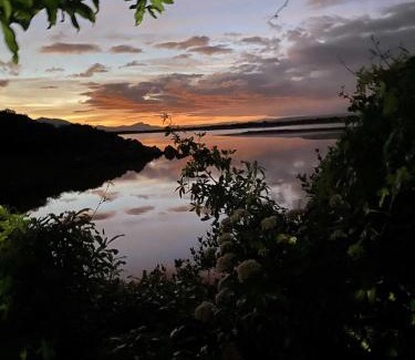 Greater Hermanus Other | Moonshine