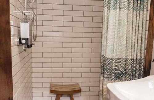 Silverton Apartment | Moose Room Rustic Colorado Lodge Escape