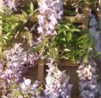 Mortain-Bocage House | Mortain-Bocage - 2-Bed Wisteria Cottage - Sleeps 4