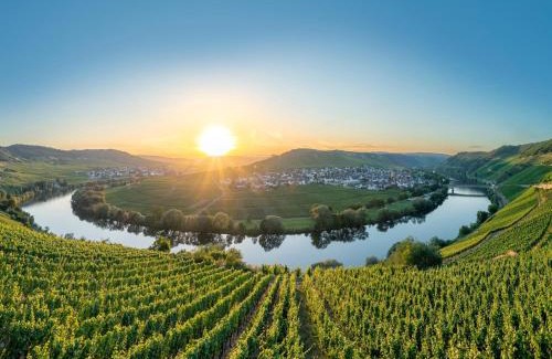 Ediger Apartment | Moselle Charm in Ediger-Eller