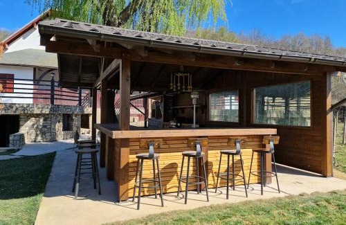 Bucov Villa | Mosia Vasiloaica