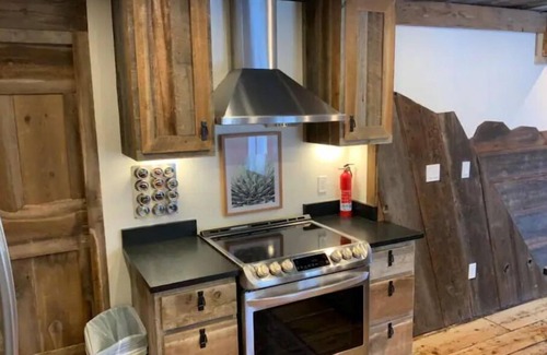 Crested Butte Apartment | Most UNIQUE Luxury Prop in CB, Dogs ok, ski locker