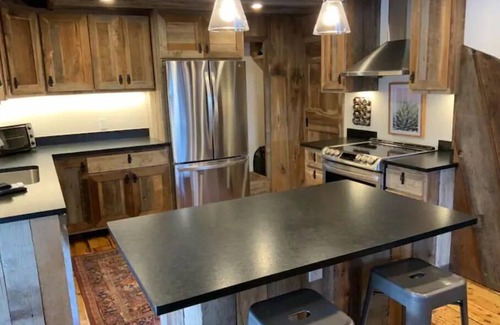 Crested Butte Apartment | Most UNIQUE Luxury Prop in CB, Dogs ok, ski locker