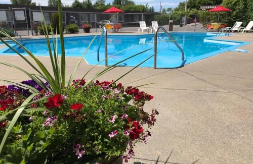 Downtown Gatineau Hotel | Motel Adam