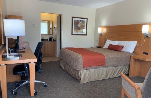 Downtown Gatineau Hotel | Motel Adam