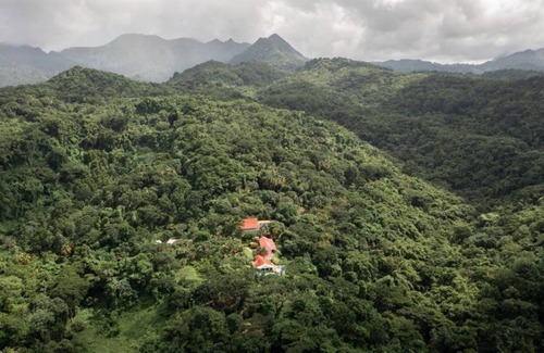 Victoria House | Mount Edgecombe Boutique Hotel - Nutmeg Suite 1