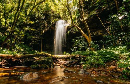 Pilgrims Rest Hotel | Mount Sheba Rainforest Hotel - Mountain Spring Water