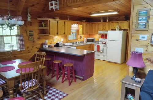 My Mountain Cabin | Mountain Cabin & Furnished Treehouse w/Murphy bed in My Mountain, Blue Ridge Ga.