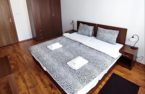 Shiligarnika Apartment | "Mountain Dream" Private Apartments 200m from Ski Slope