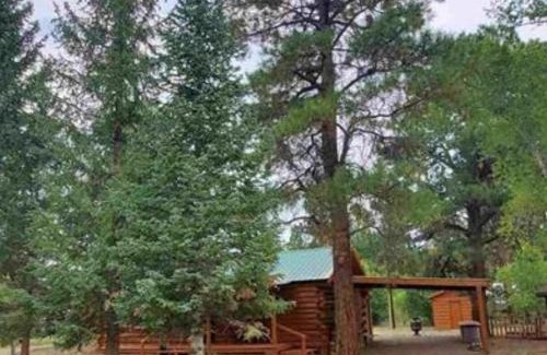 Alpine Village House | Mountain Top Getaway