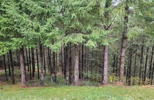 Monmouth House | Mountain top serenity. 4 bdrm 2 bath large acreage