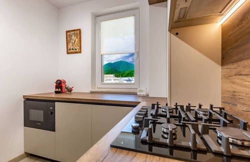 Brasov Apartment | Mountain View Terrace Oasis